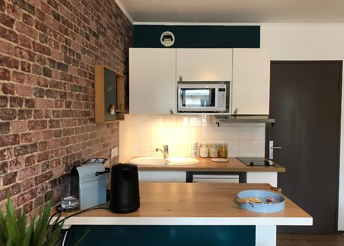 Lägenhet Avec Balcon & Parking Gratuit - Gare Tours